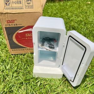 Mini car fridge